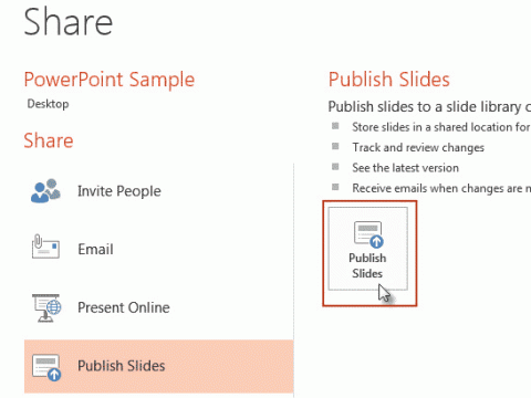 PowerPoint 2013 Publish Slide